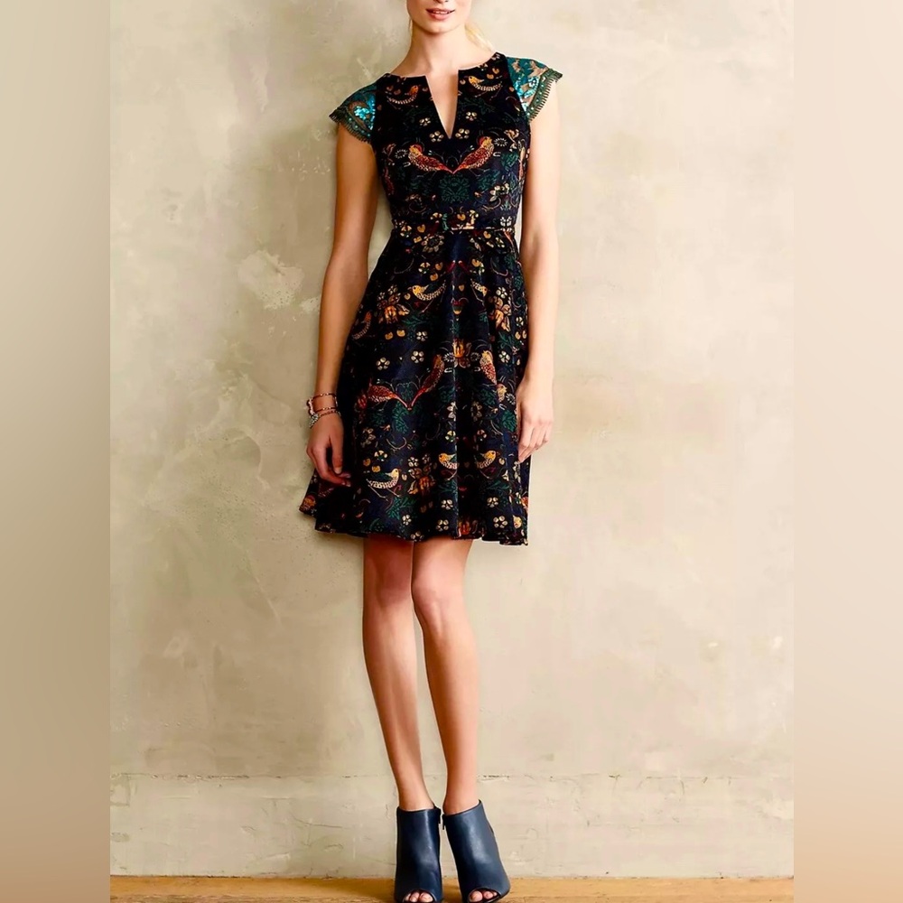 ANTHROPOLOGIE Eva Franco Larksong Corduroy Birds Floral Sequin Dress Size 4
